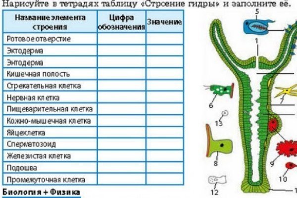 Ссылки сайтов даркнета